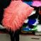 厂家批发鸵鸟毛可订做40-45cm  舞台演出服装装饰羽毛图
