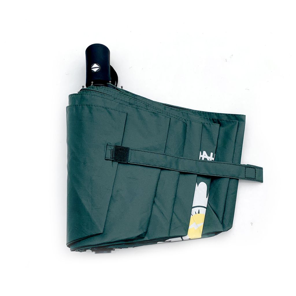 Portable fully automatic Little Chrysanthemum best-selling sunshade umbrella Item Picture