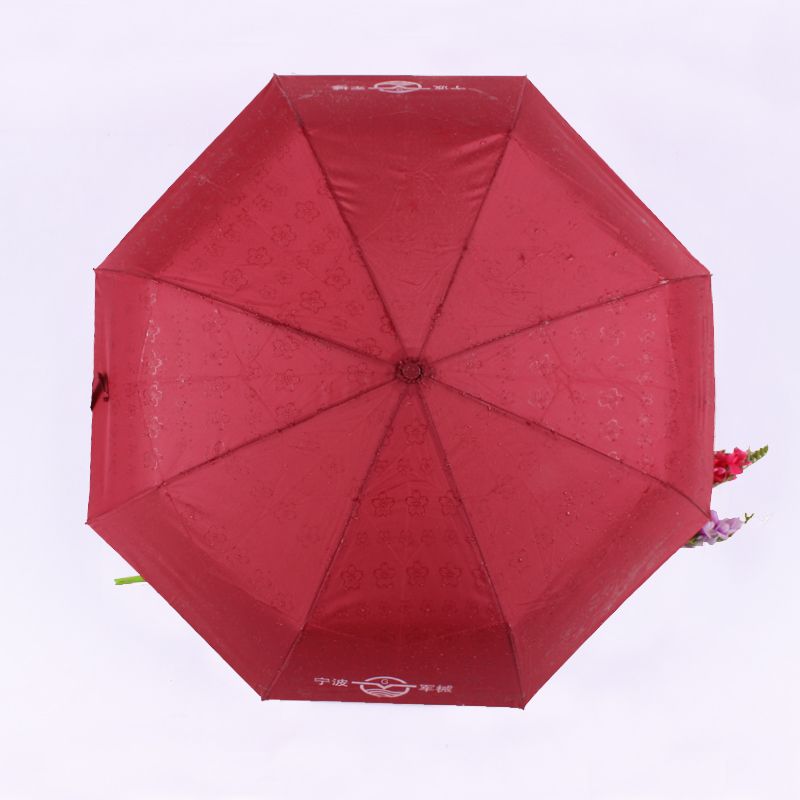 Fully automatic windproof folding umbrella that blossoms when exposed to water Application Scenario