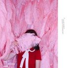 网红羽毛墙 粉色羽毛 鸵鸟毛网红拍照道具背景墙婚庆路引摆设装饰