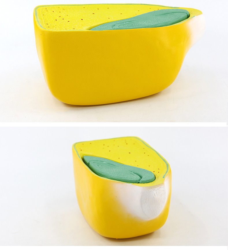 青华J3227玉米籽粒解剖模型 初高中生物植物教学演示用品 科教仪器 解剖拼图教学必备详情图7