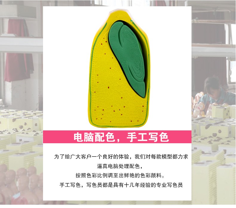 青华J3227玉米籽粒解剖模型 初高中生物植物教学演示用品 科教仪器 解剖拼图教学必备详情图2