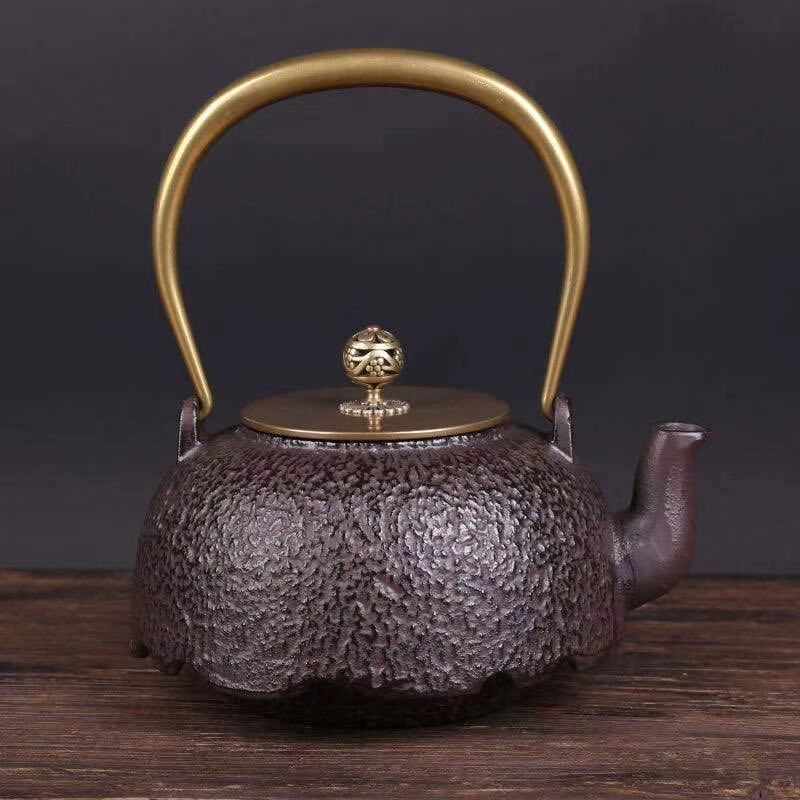 精雕夹耳素瓶铸铁壶纯手工无涂层南部老铁壶煮茶壶17