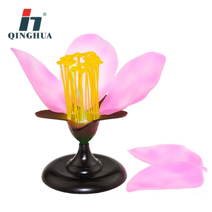 桃花/桃花模型/花类识别初高中产品图