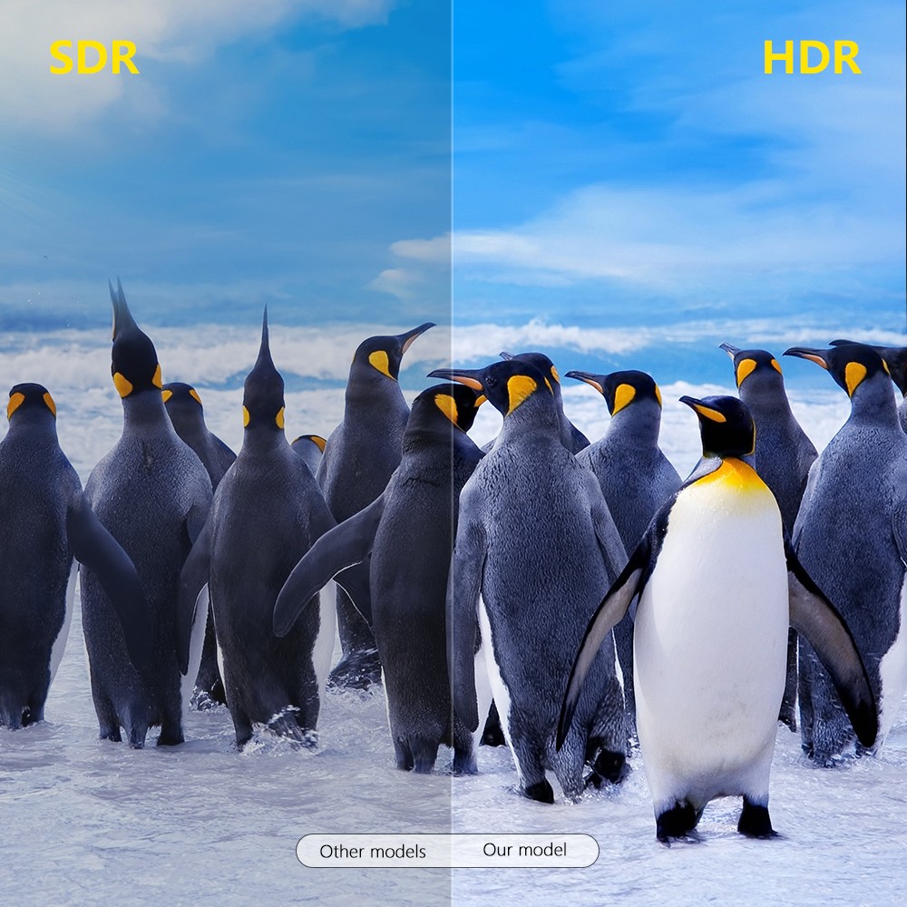علبة جهاز تلفزيون رباعي كيلبلوتوث مزدوج من طراز WiFi Towii Tox96Q، MAALinner H616 detail image 5