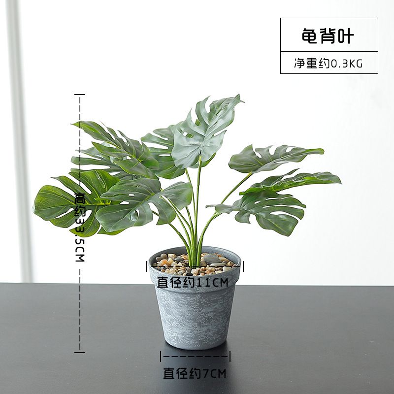 Wholesale ins Nordic-style simulated turtle-back leaf plant potted plants, artificial flowers, green plants, leaf bonsai, home decoration ornaments details Picture