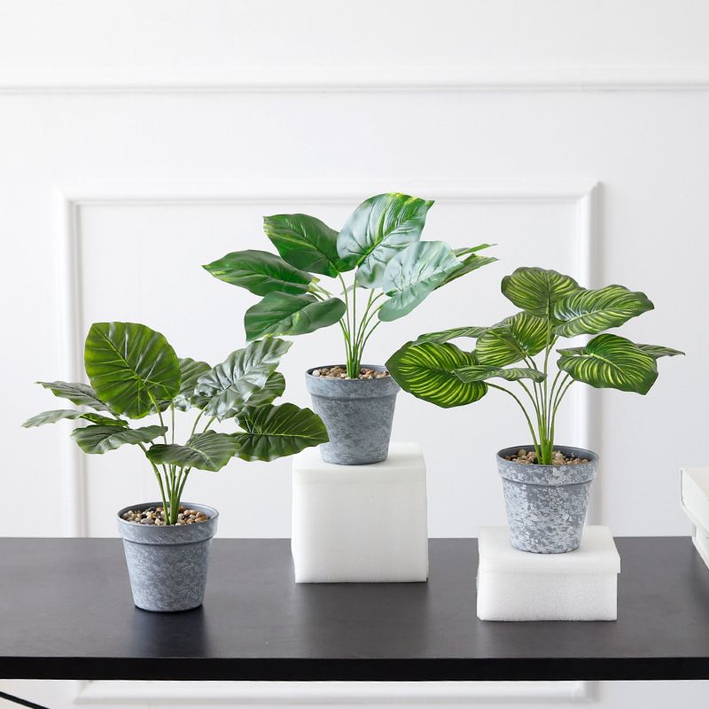 Wholesale ins Nordic-style simulated turtle-back leaf plant potted plants, artificial flowers, green plants, leaf bonsai, home decoration ornaments Item Picture