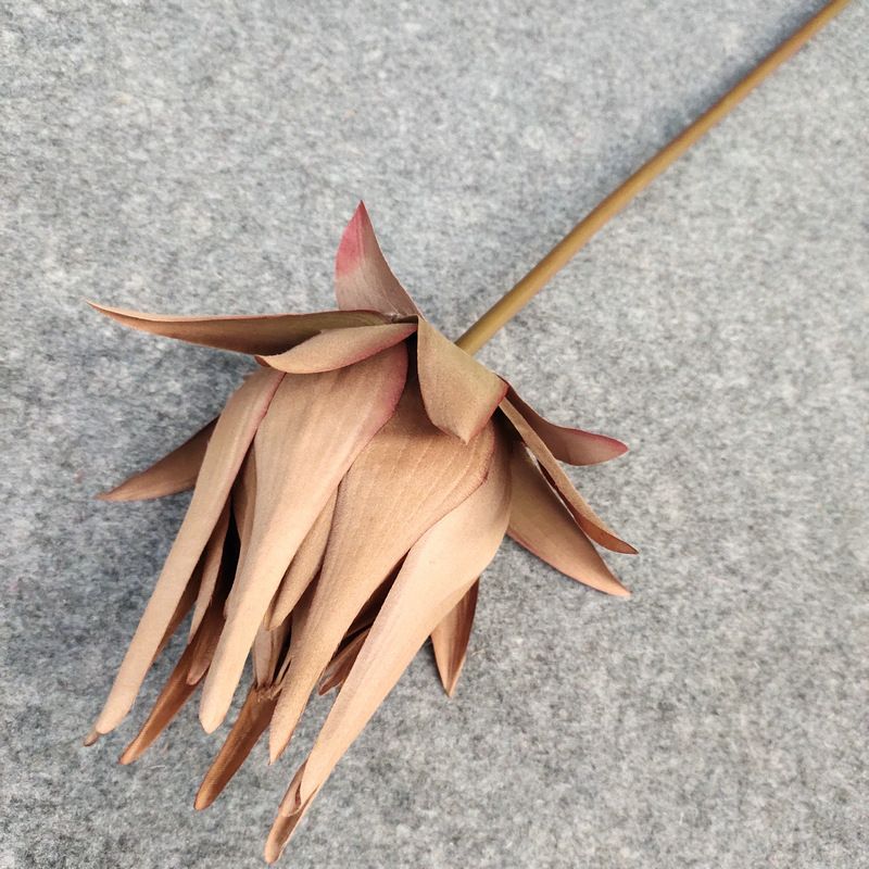 欧式复古仿真花 帝王三号盆栽客厅卧室花束 装饰家具批发