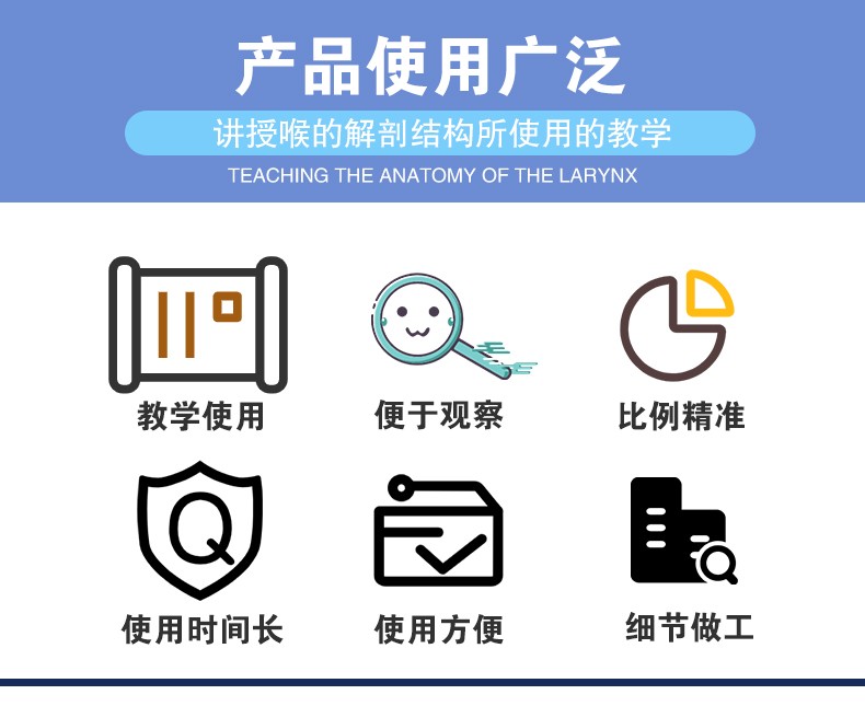 33209 人体喉部精细解剖模型 医学专用生物教学科教仪器 学校培训拼图式教具 教学演示用品详情图4