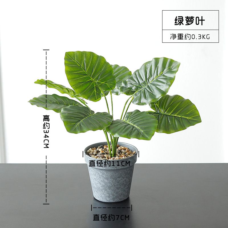 Wholesale ins Nordic-style simulated turtle-back leaf plant potted plants, artificial flowers, green plants, leaf bonsai, home decoration ornaments Application Scenario
