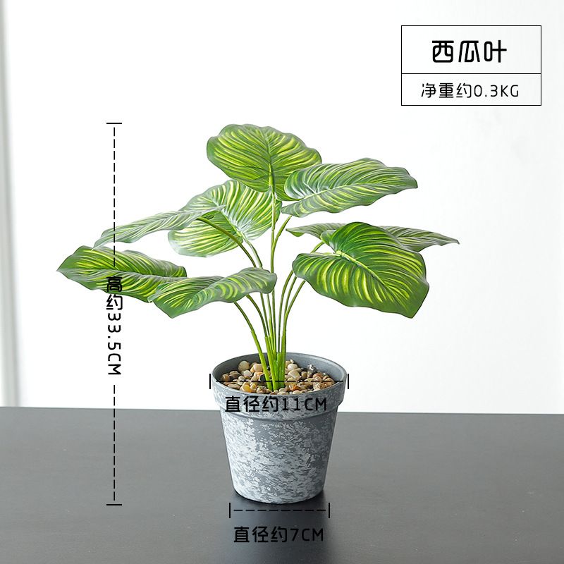 Wholesale ins Nordic-style simulated turtle-back leaf plant potted plants, artificial flowers, green plants, leaf bonsai, home decoration ornaments Specification image