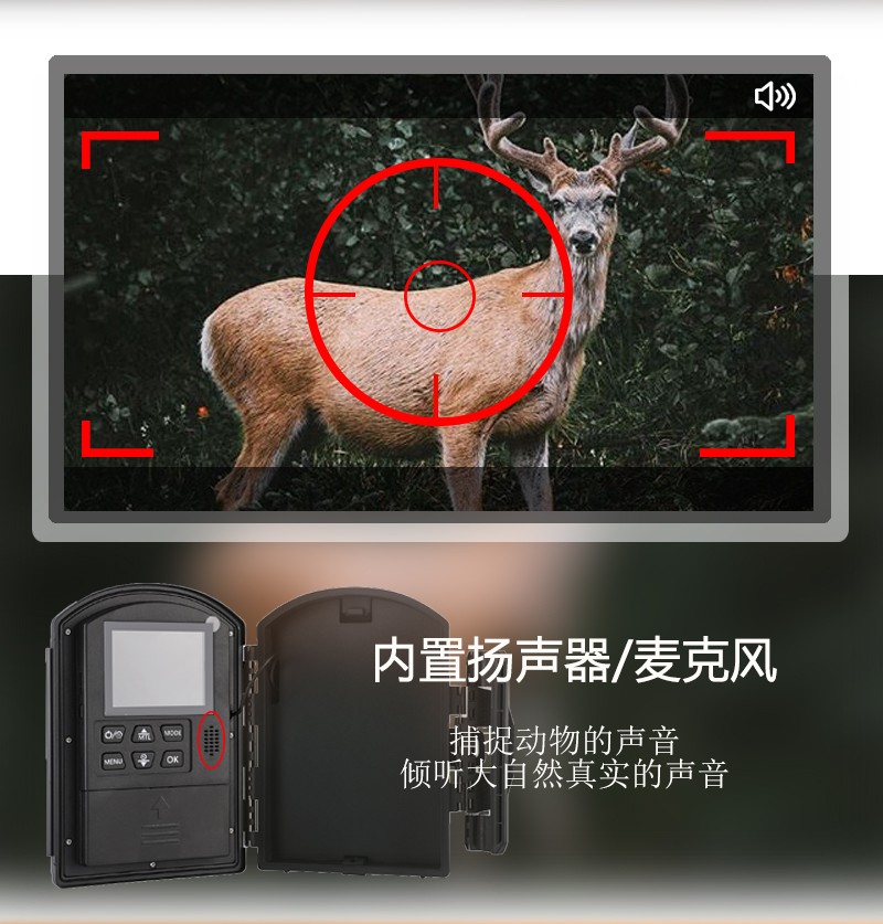 自由虎红外相机DF-02高清画质拍照录像延时摄影户外夜间侦测防水详情图6