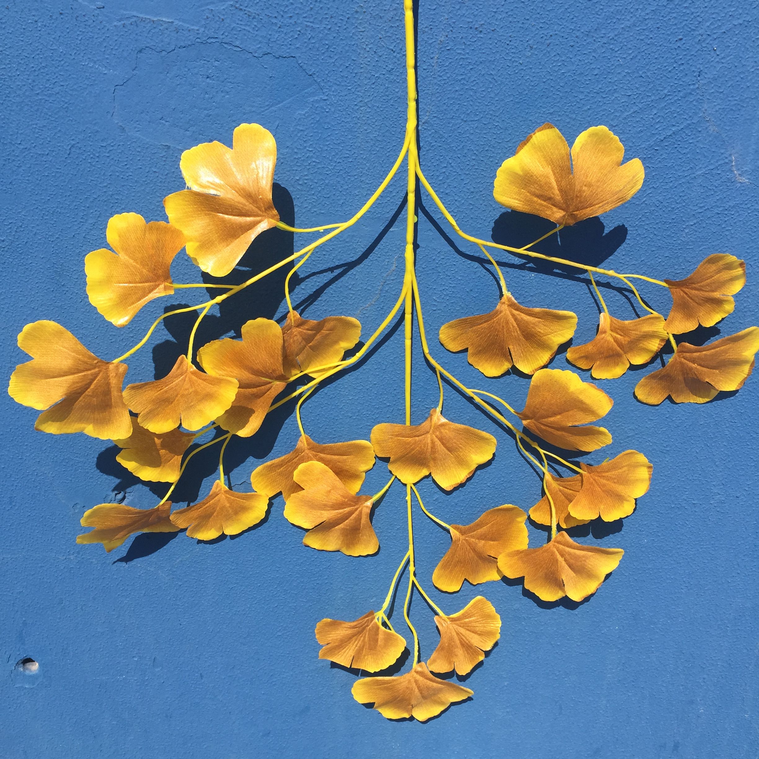 Simulated ginkgo, simulated yellow ginkgo, plastic ginkgo, poplar leaf green ginkgo, autumn ginkgo, white ginkgo, wedding decoration details Picture