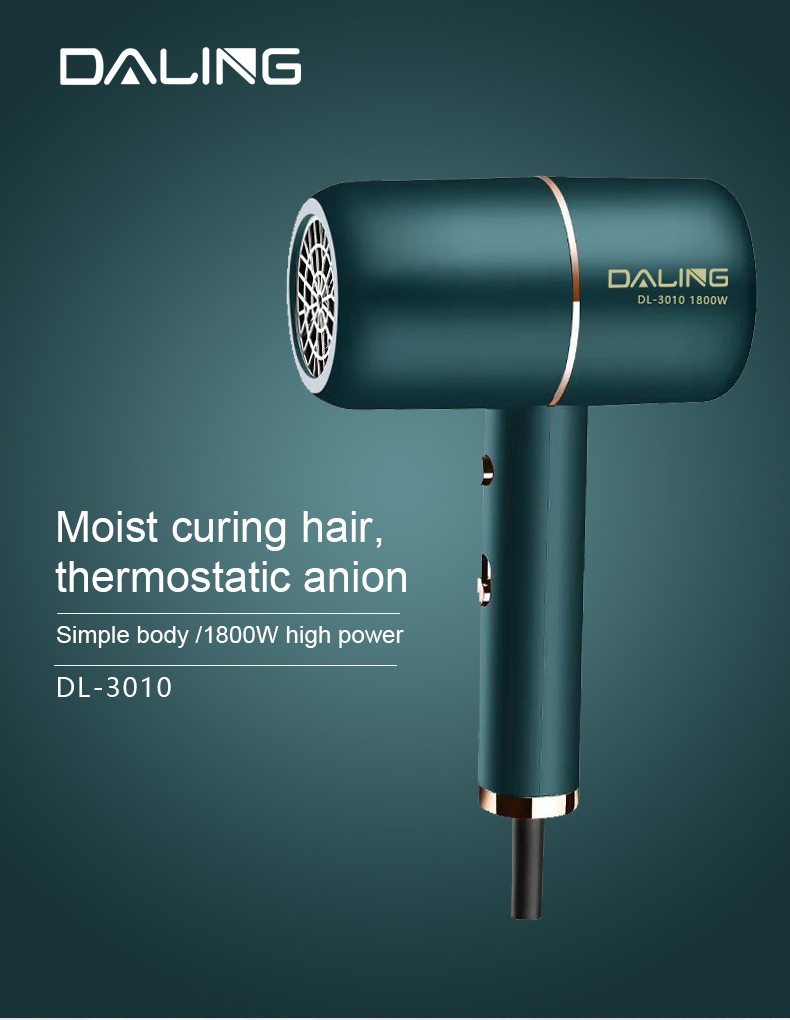 DALING-3010 hair dryer, high-power hair dryer, household cold and hot air hair dryer, wholesale cross-border pic 1