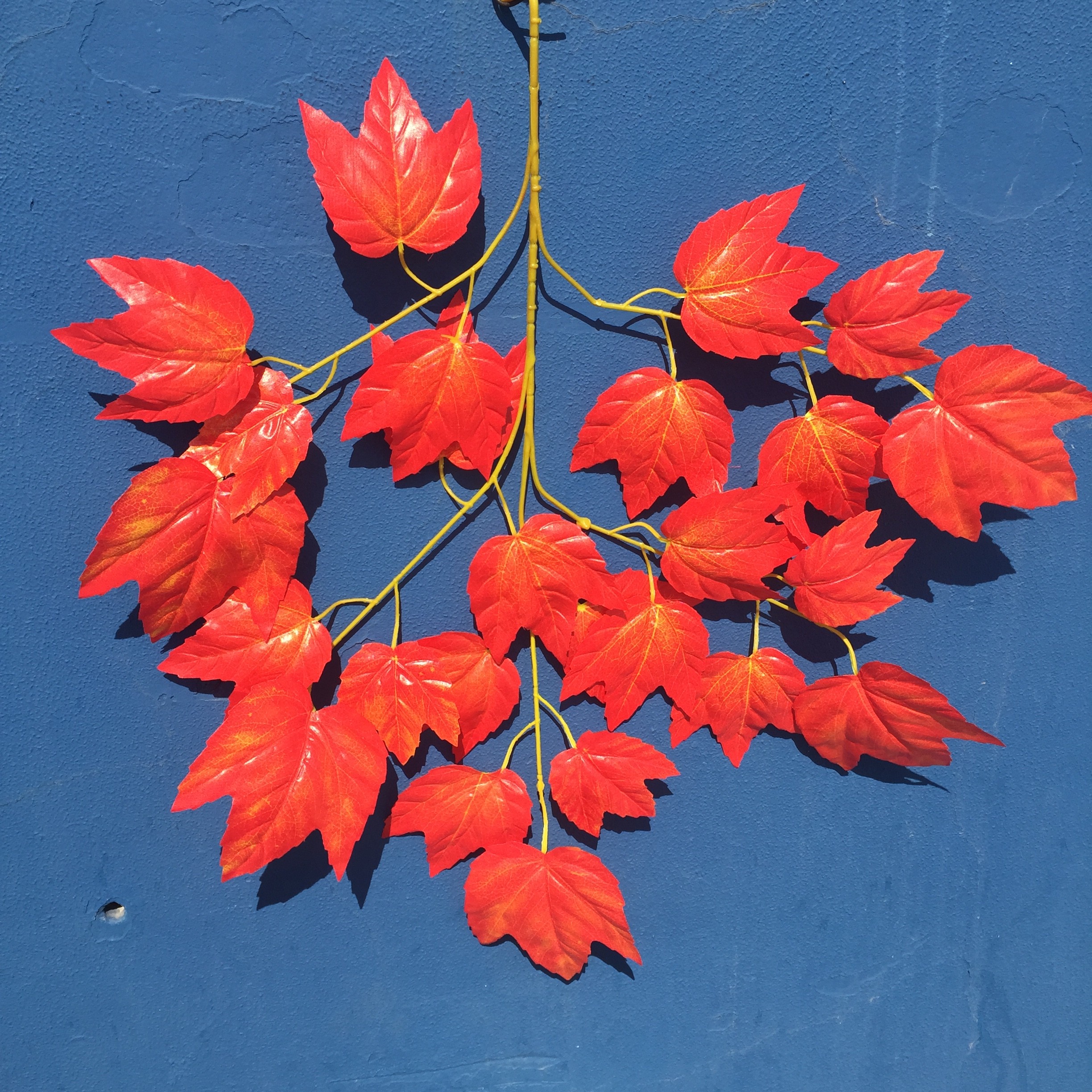 Canadian red maple branches, American big red maple, tactile red maple branches, artificial maple leaves, artificial red maple leaves, fake maple leaves, Xiangshan maple detail image 16