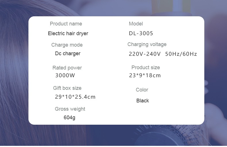 DALING-3005 hair dryer, high-power hair dryer, household cold and hot air hair dryer, wholesale cross-border detail image 13