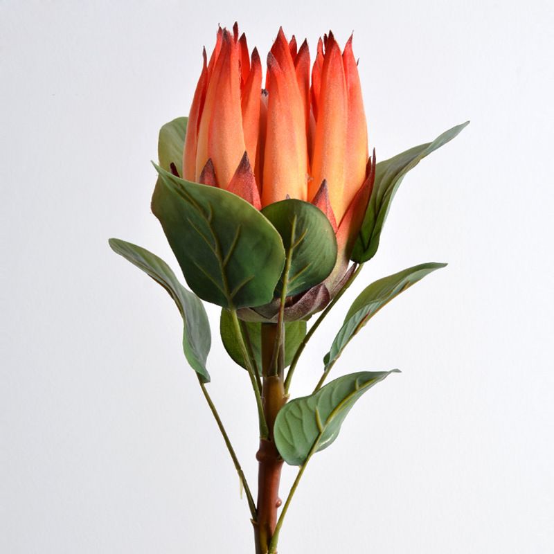 Wholesale of South African princess and emperor flowers, artificial flowers, dried flowers, silk flowers, artificial flowers, hotel decoration ornaments, wedding floral art