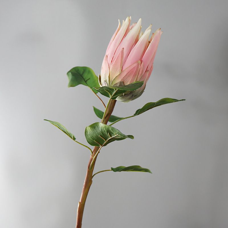 Wholesale of South African princess and emperor flowers, artificial flowers, dried flowers, silk flowers, artificial flowers, hotel decoration ornaments, wedding floral art Specification image