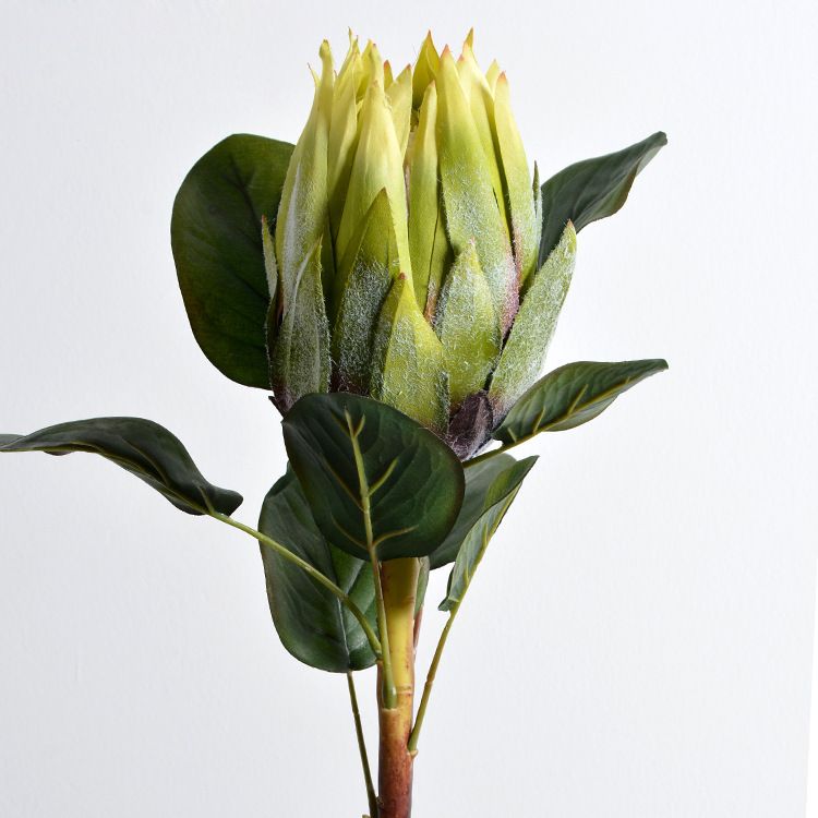 Wholesale of South African princess and emperor flowers, artificial flowers, dried flowers, silk flowers, artificial flowers, hotel decoration ornaments, wedding floral art details Picture