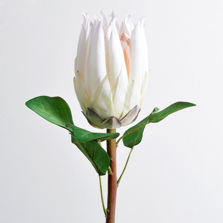 Wholesale of South African princess and emperor flowers, artificial flowers, dried flowers, silk flowers, artificial flowers, hotel decoration ornaments, wedding floral art Application Scenario