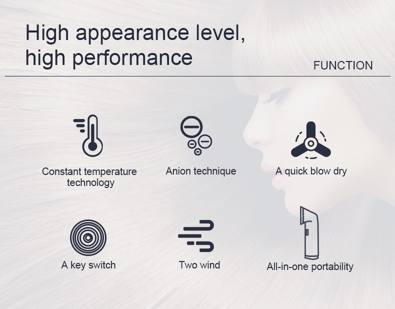 DALING-3009 hair dryer, high-power hair dryer, household cold and hot air hair dryer, wholesale cross-border pic 2