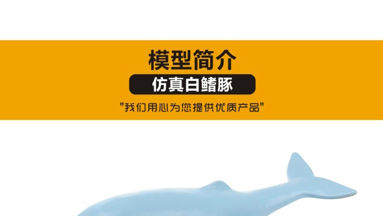 青华3236新品 高仿真白暨豚生物模型 教学演示科学实验学生观察解剖学习用品 教学演示用品详情图4