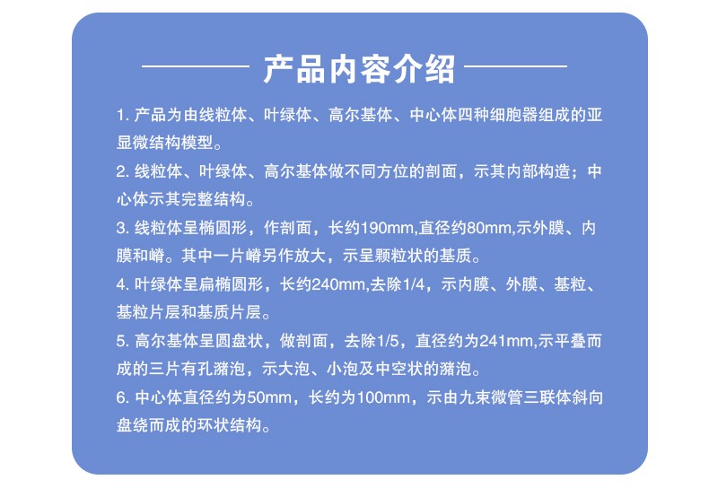 青华3224细胞结构模型 初高中生物教学演示用品 解剖拼图实验仪器 医学教具详情图6