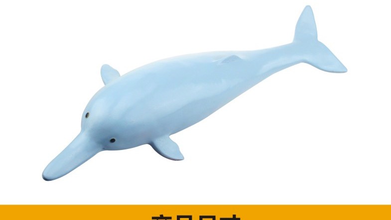 青华3236新品 高仿真白暨豚生物模型 教学演示科学实验学生观察解剖学习用品 教学演示用品详情图2