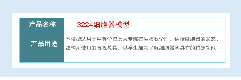 青华3224细胞结构模型 初高中生物教学演示用品 解剖拼图实验仪器 医学教具详情图5