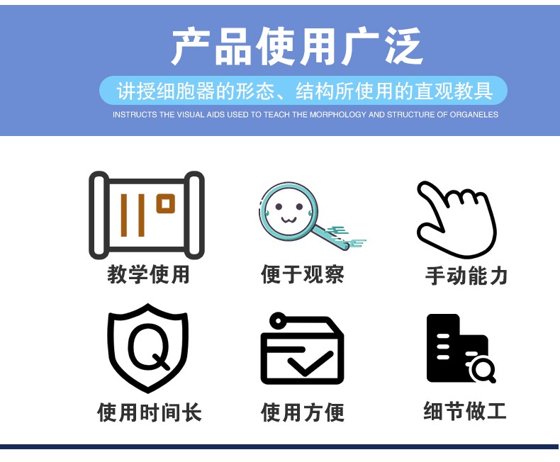 青华3224细胞结构模型 初高中生物教学演示用品 解剖拼图实验仪器 医学教具详情图3