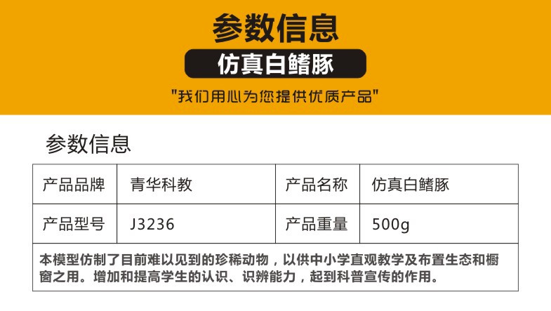 青华3236新品 高仿真白暨豚生物模型 教学演示科学实验学生观察解剖学习用品 教学演示用品详情图1
