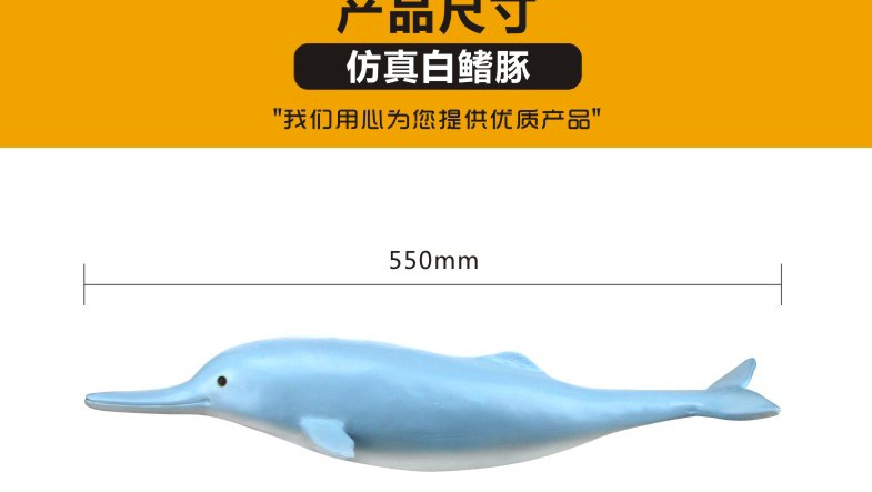 青华3236新品 高仿真白暨豚生物模型 教学演示科学实验学生观察解剖学习用品 教学演示用品详情图3