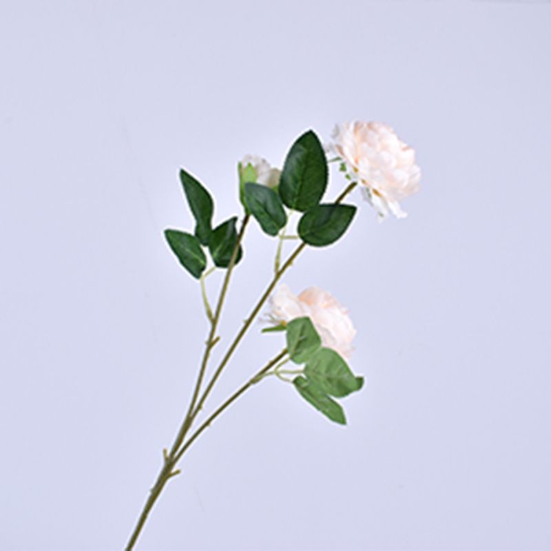 批发3头洋牡丹花仿真花 家居婚庆道具布置装饰花绢花西洋牡丹假花