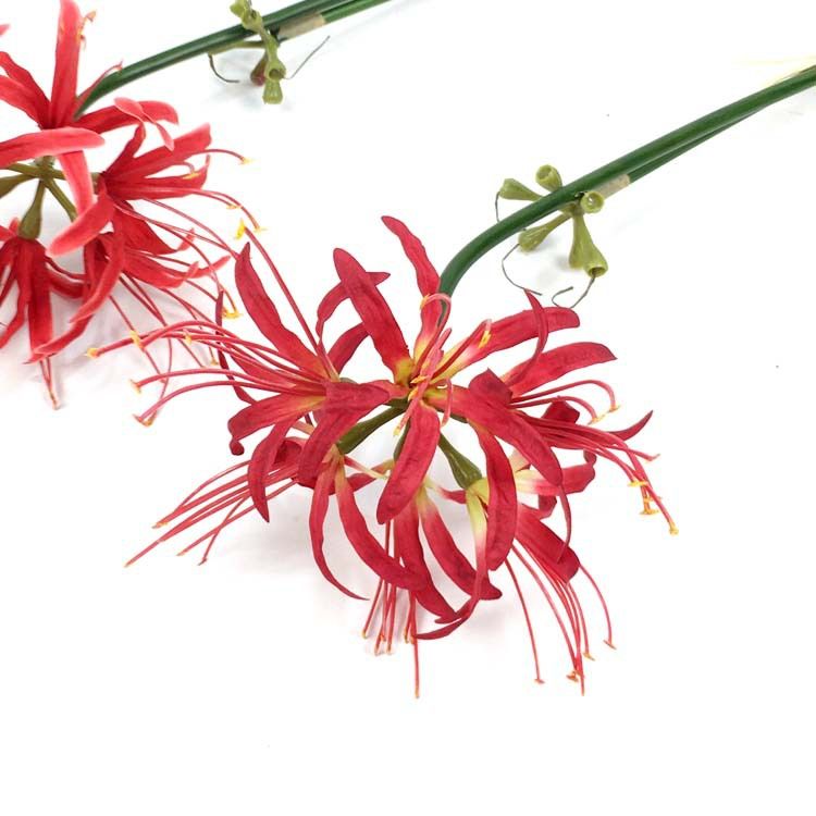 Artificial flowers such as wind and rain orchid, Red spider lily, and red spider lily, artificial flower shooting props, home living room photography, wedding decoration flowers
