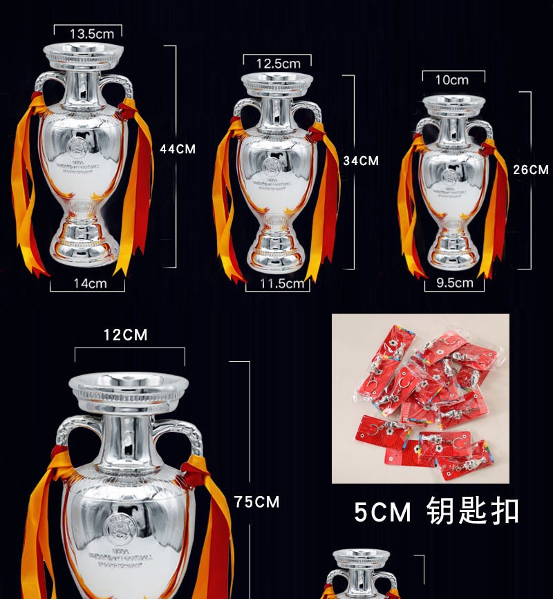 Customized trophies, Euro Cup trophies, Delaney Cup, Saint-Bolde Cup model ornaments Application Scenario