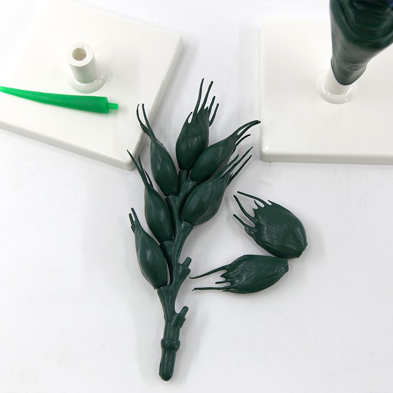 小麦花模型/小麦花/麦穗放大解剖模型白底实物图