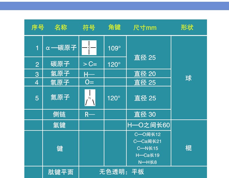 青华DNA模型生物基因链球形双螺旋 蛋白质模型学校老师教学演示用详情11