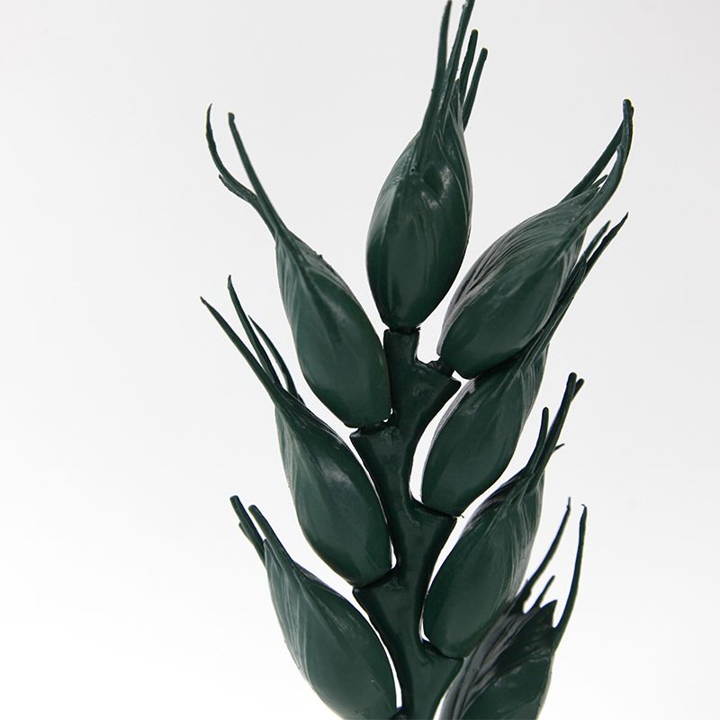 教学演示用品实物图