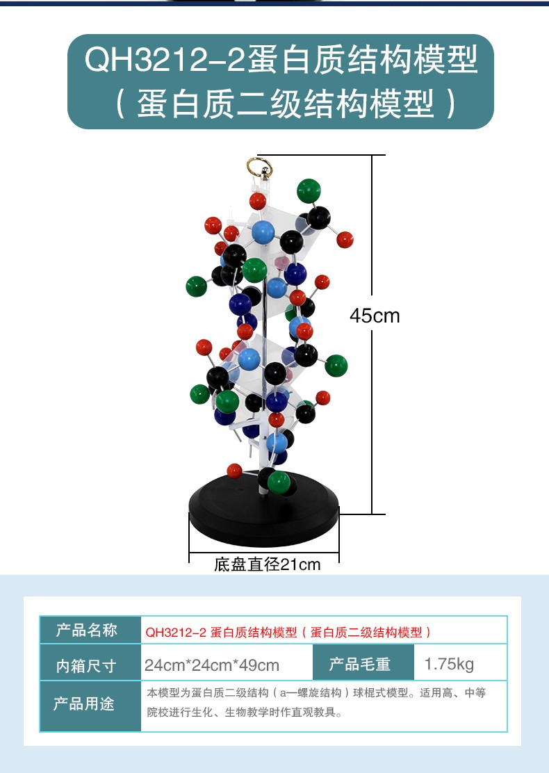 青华DNA模型生物基因链球形双螺旋 蛋白质模型学校老师教学演示用详情9