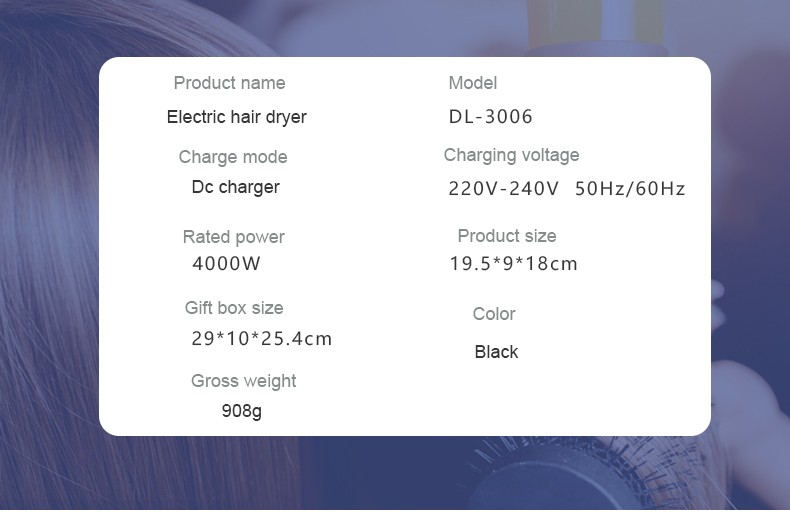 Daling DL-3006 hair dryer, high-power hair dryer, household cold and hot air hair dryer, wholesale cross-border detail image 13
