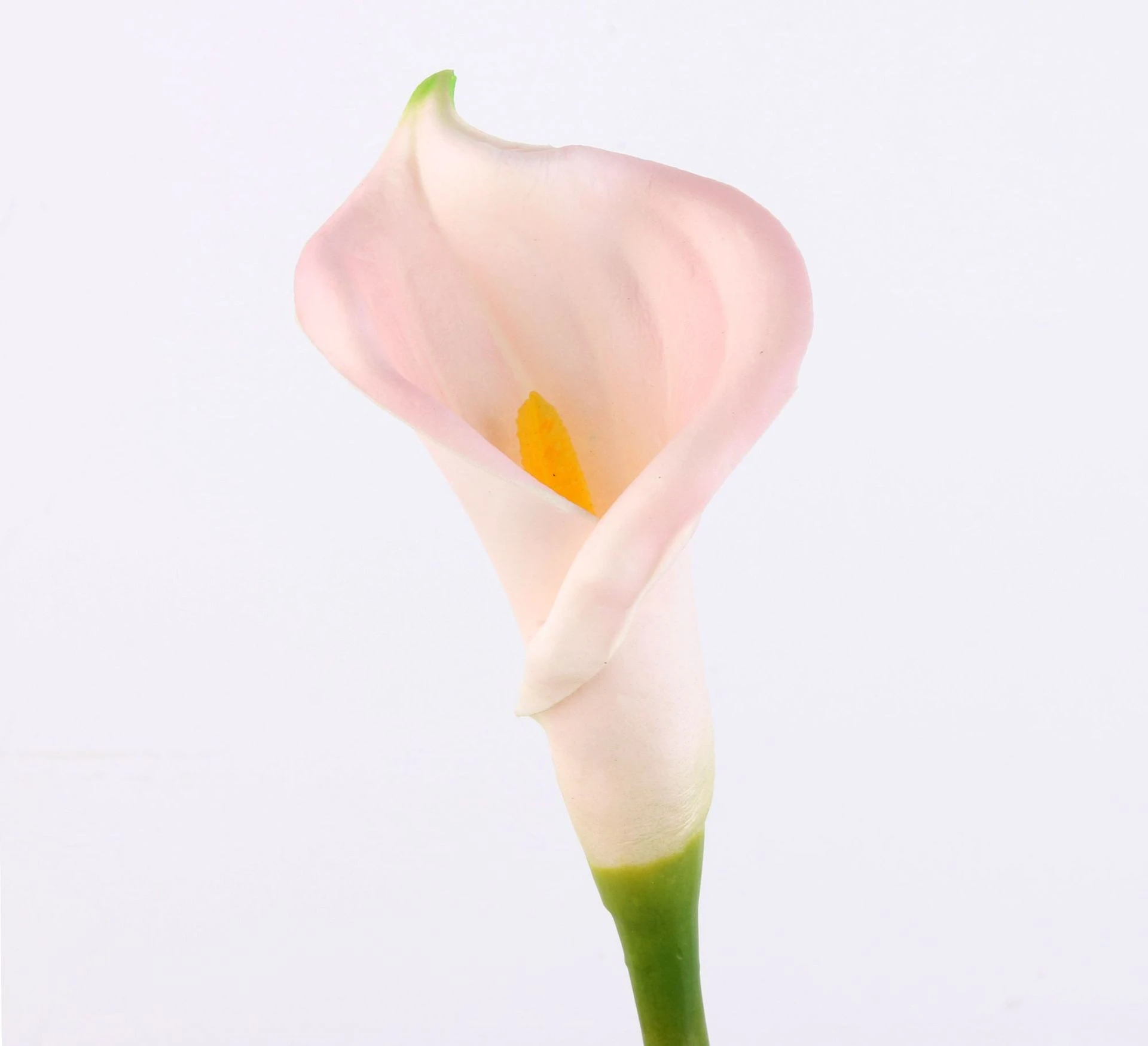 Wholesale pu artificial flower decoration, tactile PU artificial rolled edge small calla lily from the manufacturer detail image 10