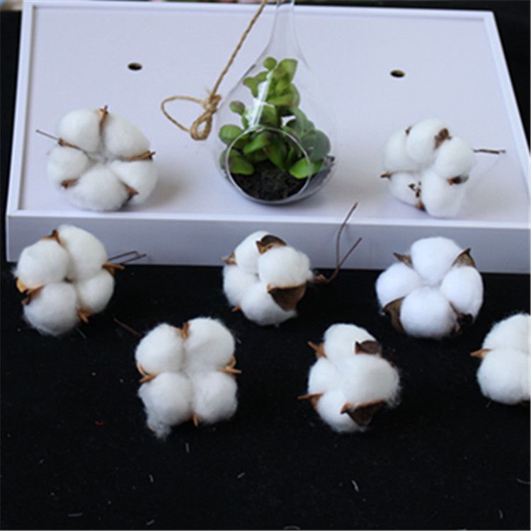 Factory wholesale of artificial single-head kapok flower heads, natural dried flower branches, cotton wreaths, Christmas products, and everlasting flowers details Picture