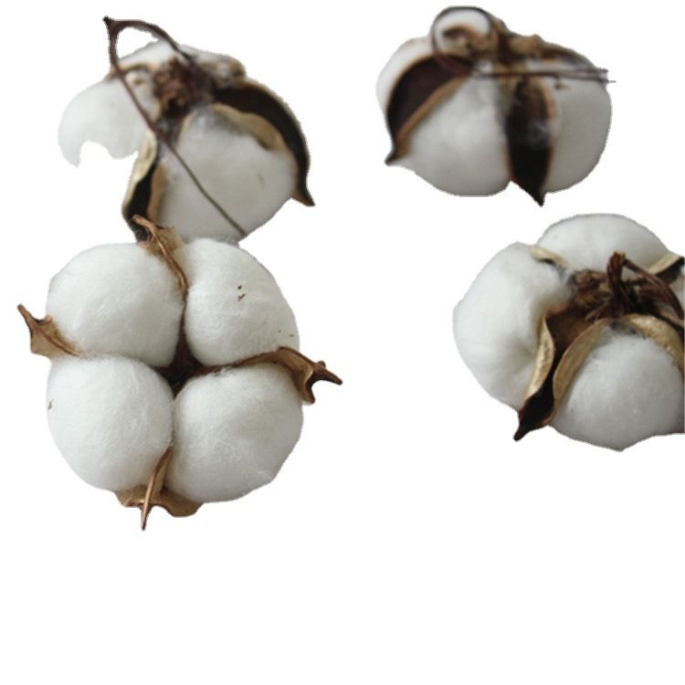 Factory wholesale of artificial single-head kapok flower heads, natural dried flower branches, cotton wreaths, Christmas products, and everlasting flowers Item Picture
