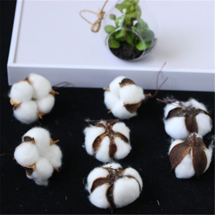 Factory wholesale of artificial single-head kapok flower heads, natural dried flower branches, cotton wreaths, Christmas products, and everlasting flowers Application Scenario