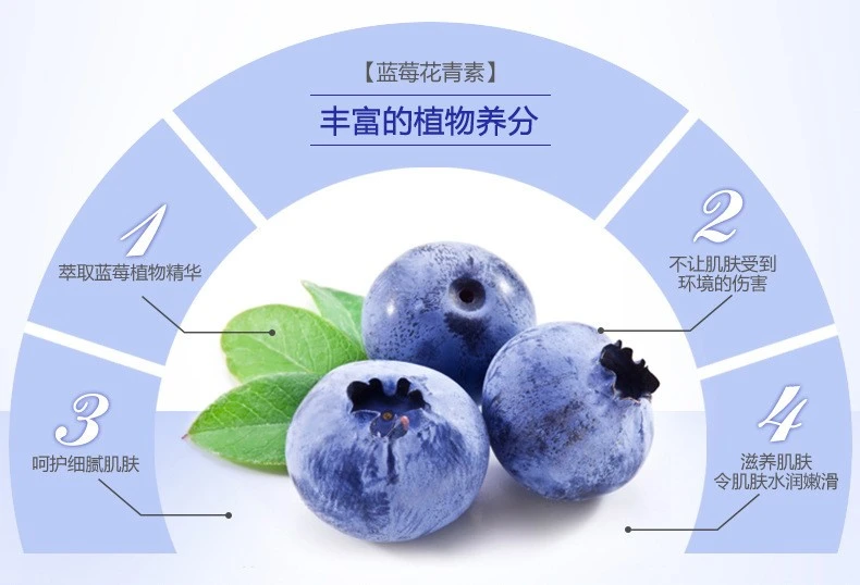 Boquanya Blueberry Brightening Eye Cream Eye Care detail image 4