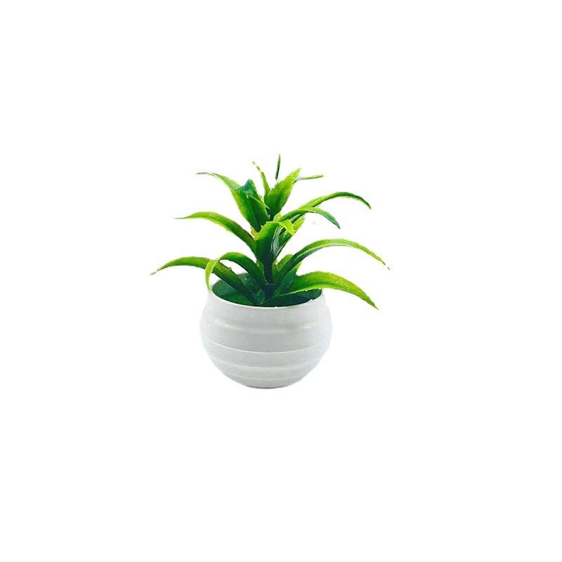 كما ان نبتة سيف الزهرة المزيَّفة التي تُصنع عبر الحدود Item Picture
