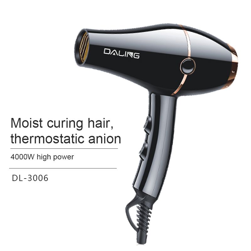 Daling DL-3006 hair dryer, high-power hair dryer, household cold and hot air hair dryer, wholesale cross-border details Picture