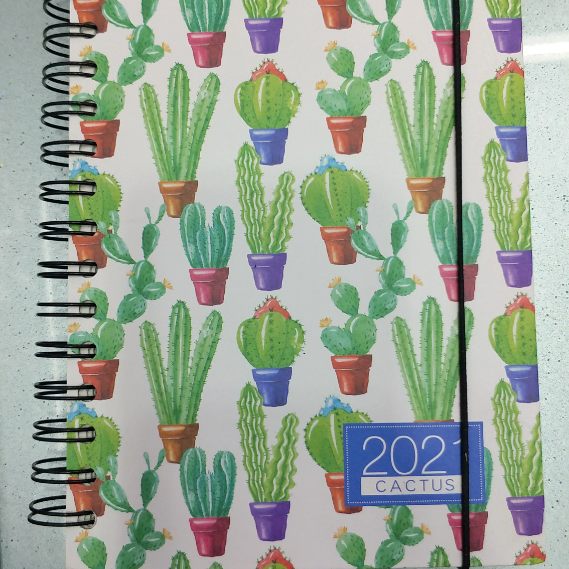 Notebook 008