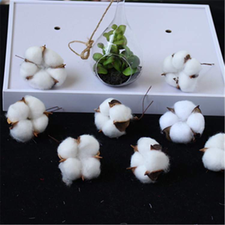 Factory wholesale of artificial single-head kapok flower heads, natural dried flower branches, cotton wreaths, Christmas products, and everlasting flowers detail image 6
