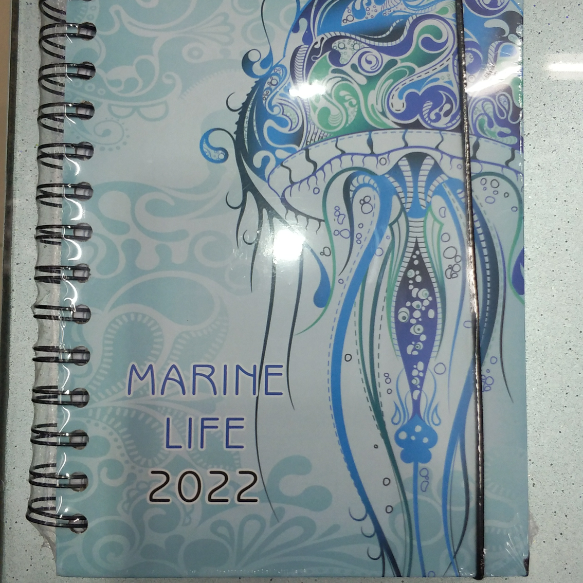Notebook 0010